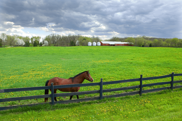 Alberta Farm Outbuildings Insurance Company